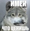 aiAO05TEkoFgcd46aIQQ2BL4luZQHve6CO7jSHIcJDTbFYO9Pi9QWbbTIfCwysaAL7fBSZY9Dh9U1OcC3xcpgrHEXYNHD...webp