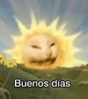 ea98190ce2b674975bf9c3461f18eec4.webp