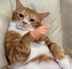 VIyVXw6tg0-7ty3Qc-0iHFWf0mYwnbiWwx9RT8qxAJczsdgPUNZPIWofPUtBx6iz_u3ku0HcbN0siV6fhJFgCDGy.webp