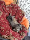 IMG_20250820_082834.webp