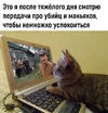 1699477030162383052.webp