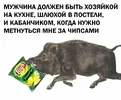 44d83b420389d08eeaa53438606b7d4d.webp