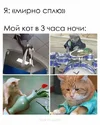 d642509da90d7b9cc375c21c5ee965cc.webp
