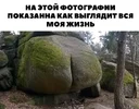 IMG_2718.webp
