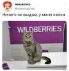1673119374_shutok.ru.7.webp