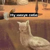 39f35e5622749ad97dc159b4b0d61db9.webp
