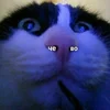 5bbb5fdaaf195b871bd6e8a4418c295e.webp
