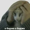 43fb2c7ff9cdb6cc4c03cdf45e8b2e1a.webp
