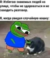 25309211e6c489d811c5bf605c6450ec.webp