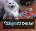 d4cf929968d726189181beed51ddc412.webp