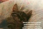 95a967ca3b56f0efe00c9a74dd172f5c.webp
