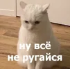 19cf9743a4cb78c82ccbce35ffcbcd9e.webp