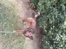 20250823_141258.webp