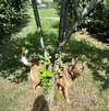 20250823_141021.webp