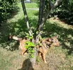 20250823_141018.webp