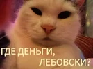 623c4cfcc4ec6b6d4852688aa4f29997.webp