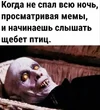 c631610fdc9fecd27de62cb1346ee5ca.webp