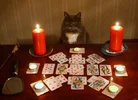 gMsalGrYqTWTRlYSPuUX6z7ORs4c3AV8QbvAMynHCZbYtiVZMrFjmqFwe59ZLDAqCuzIdAmmngl6sgmaYjOZBn7dJo8He...webp