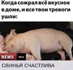 1f2c7a281b6ba0ef34c5e7262aa48a99.webp