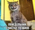 1453105691163694343.webp