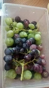 IMG-20250811-WA0002.webp