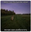 9a7830e9bd01fefc892ba797ffa20669.webp