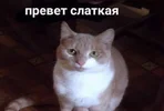 0fe06fda4d9265f67586e723e5c91013.webp