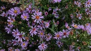 IMG_20250826_100346.webp