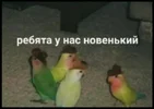 ce43e073076d1f410c24dbf242884e34.webp