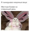 8528d26ba4a0e6431f7b3703ca97d72a.webp