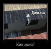 demotivatorium_ru_kak_dela_185664.webp