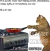 62af7833a311703d10e0e006ae7225a5.webp