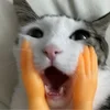 f4fb1bfffa828a9bdbdff0fed02218da.webp