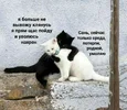 be43766bb4f410c1b11123d88f6de58b.webp