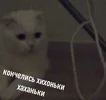 60b89078f0c52c4f74858b08bd938606.webp