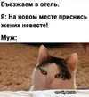 9ef69b39692e7f62eba0b1421842b63f.webp