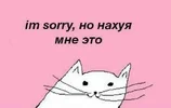 26ac26bebf17661657b2eb5469d486ab.webp