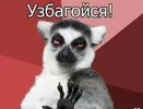 i (1).webp