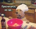 27762507_21836.webp
