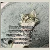 IMG_3134.webp