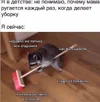 c0ea9283b99335a8337deded0f3352a3.webp