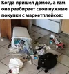 IMG_3211.webp