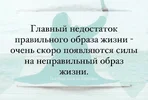 IMG_8930.webp