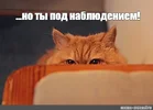 ab4347bea56f0baa5d770f82765925e8.webp