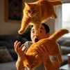 Снимок экрана (3).webp