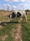 IMG_20250908_142855.webp