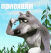 volk-s-palcem-u-viska-1.gif