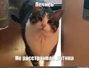36888344ddb8f776a7262e7e41bc5c4e.webp