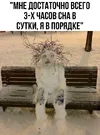 1713499577124846864.webp