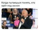 5233686803347799310.webp